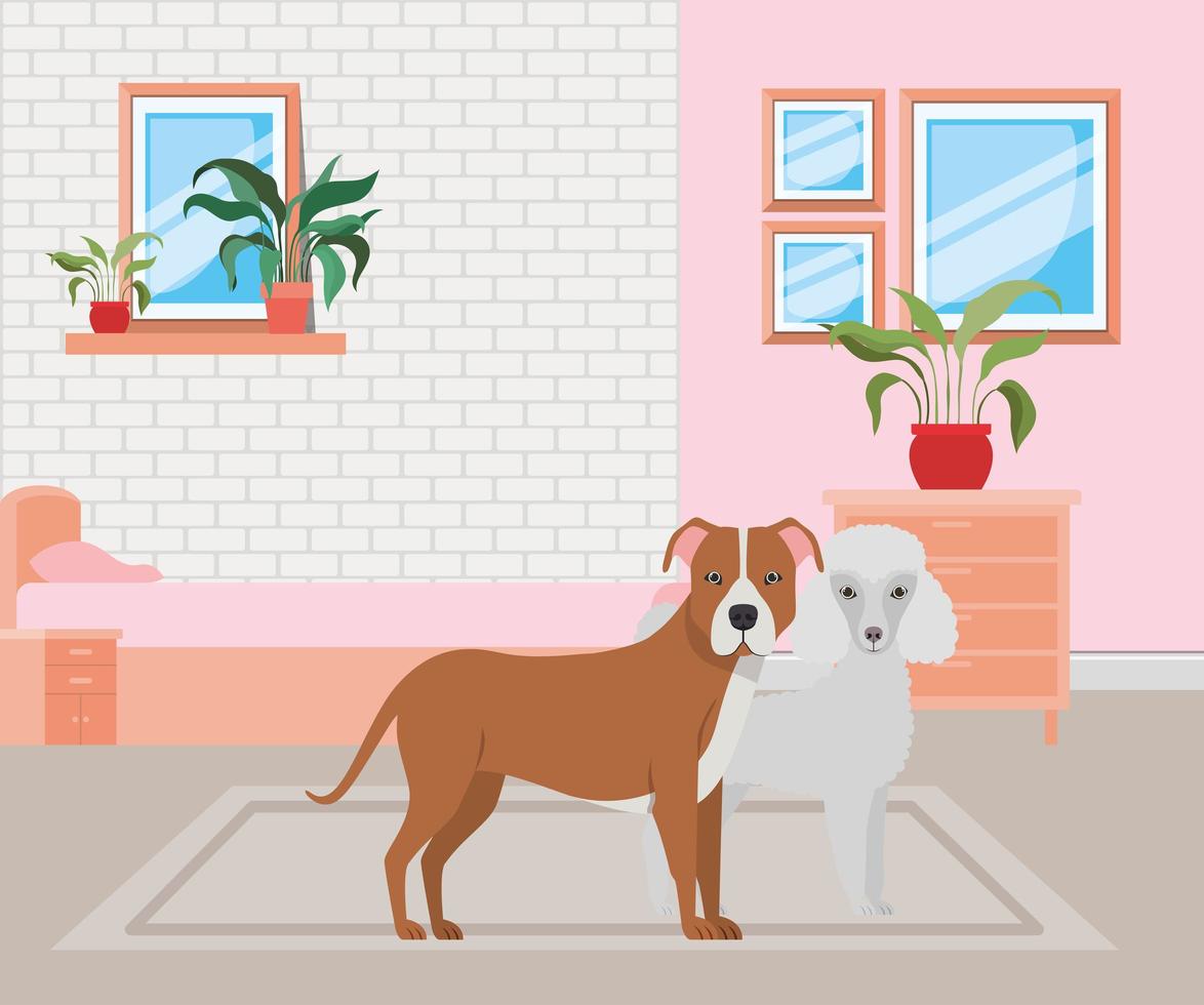 schattige kleine honden in de slaapkamer vector