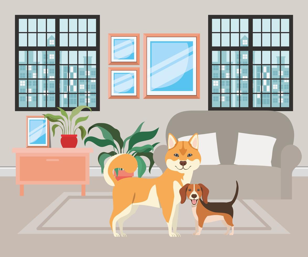 schattige kleine honden in de woonkamer vector