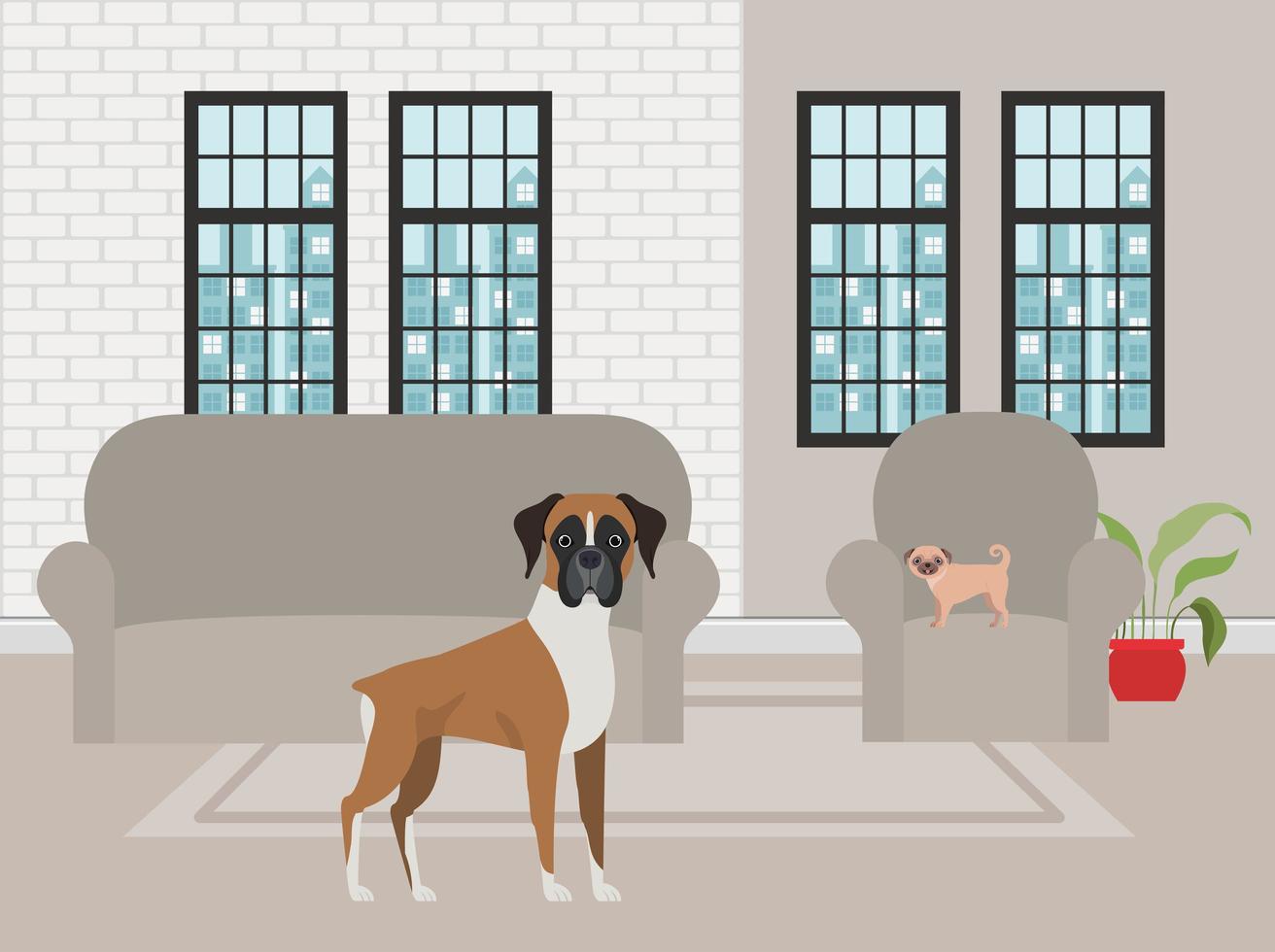 schattige kleine honden in de woonkamer vector