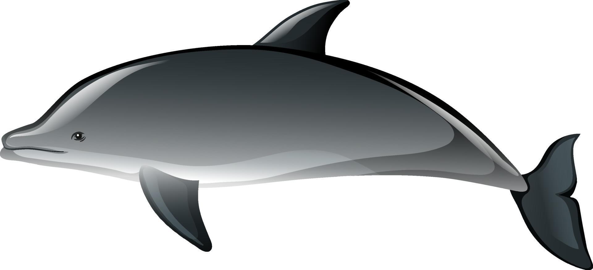 een dolfijn in cartoon-stijl op witte achtergrond vector
