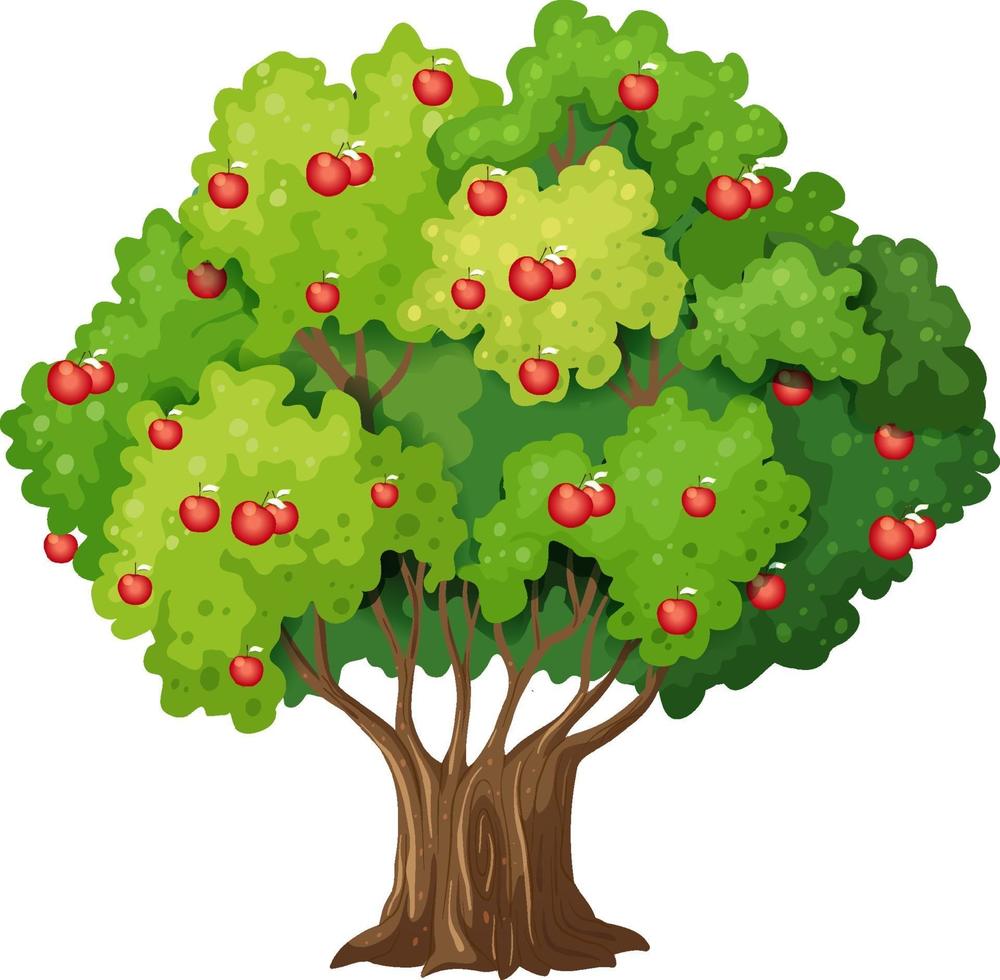 appelboom geïsoleerd op een witte achtergrond vector