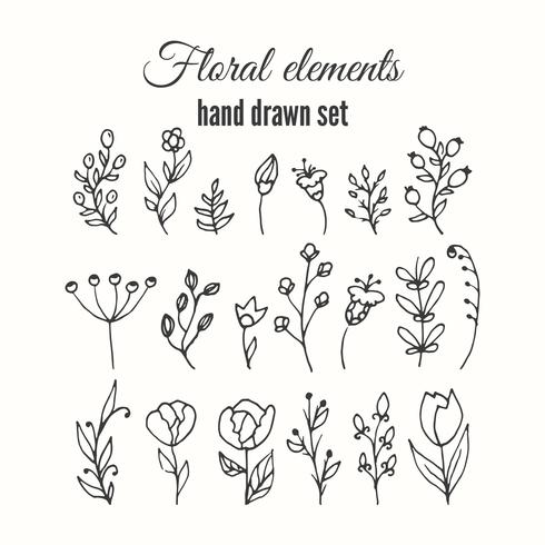 Vector floral decoratieve set. Kruiden en wilde bloemen.