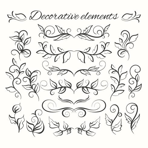 Hand getrokken divders instellen. Sier decoratieve elementen. Floral set. vector