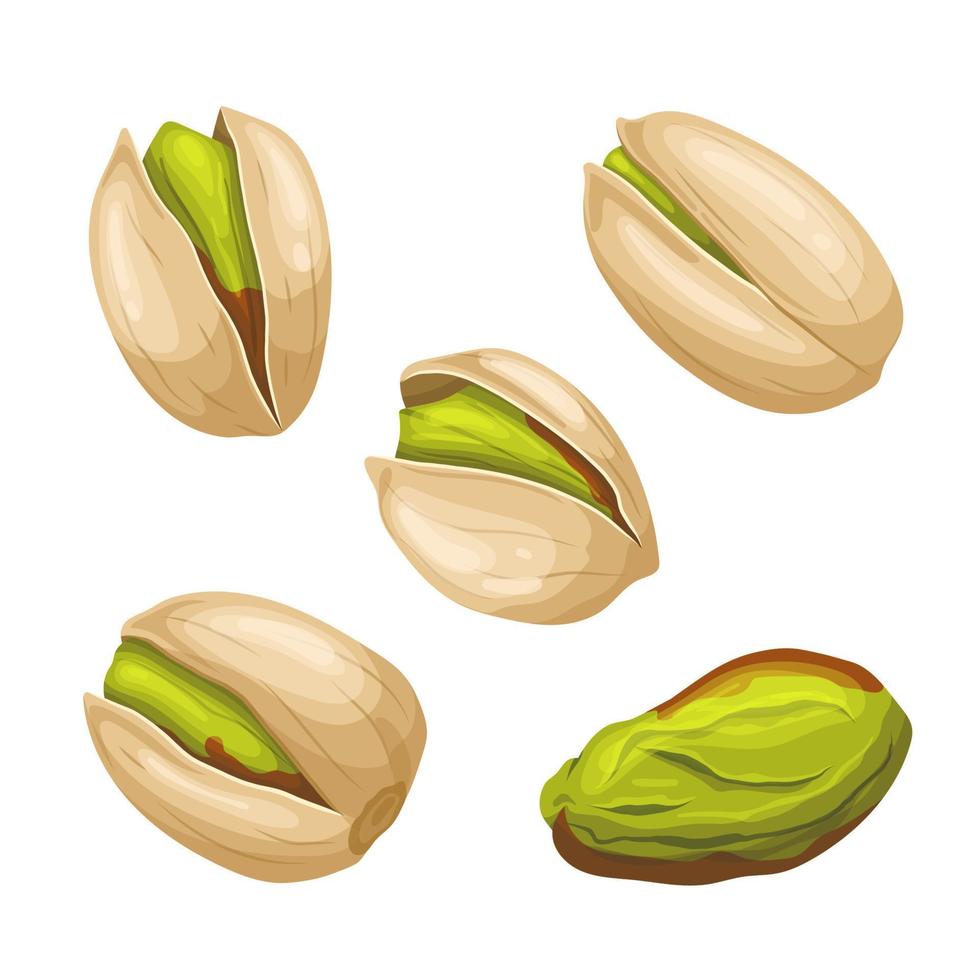 pistache noot voedsel reeks tekenfilm vector illustratie