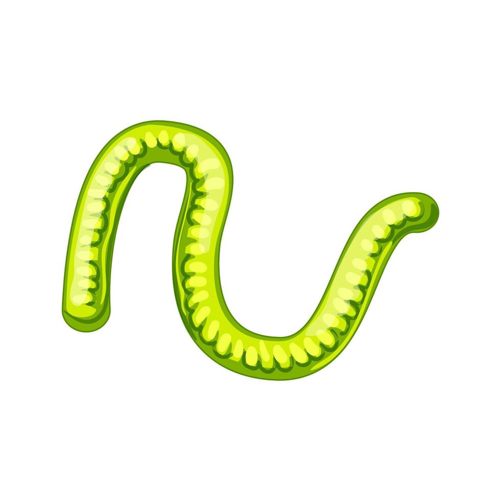 worm gelei snoep tekenfilm vector illustratie