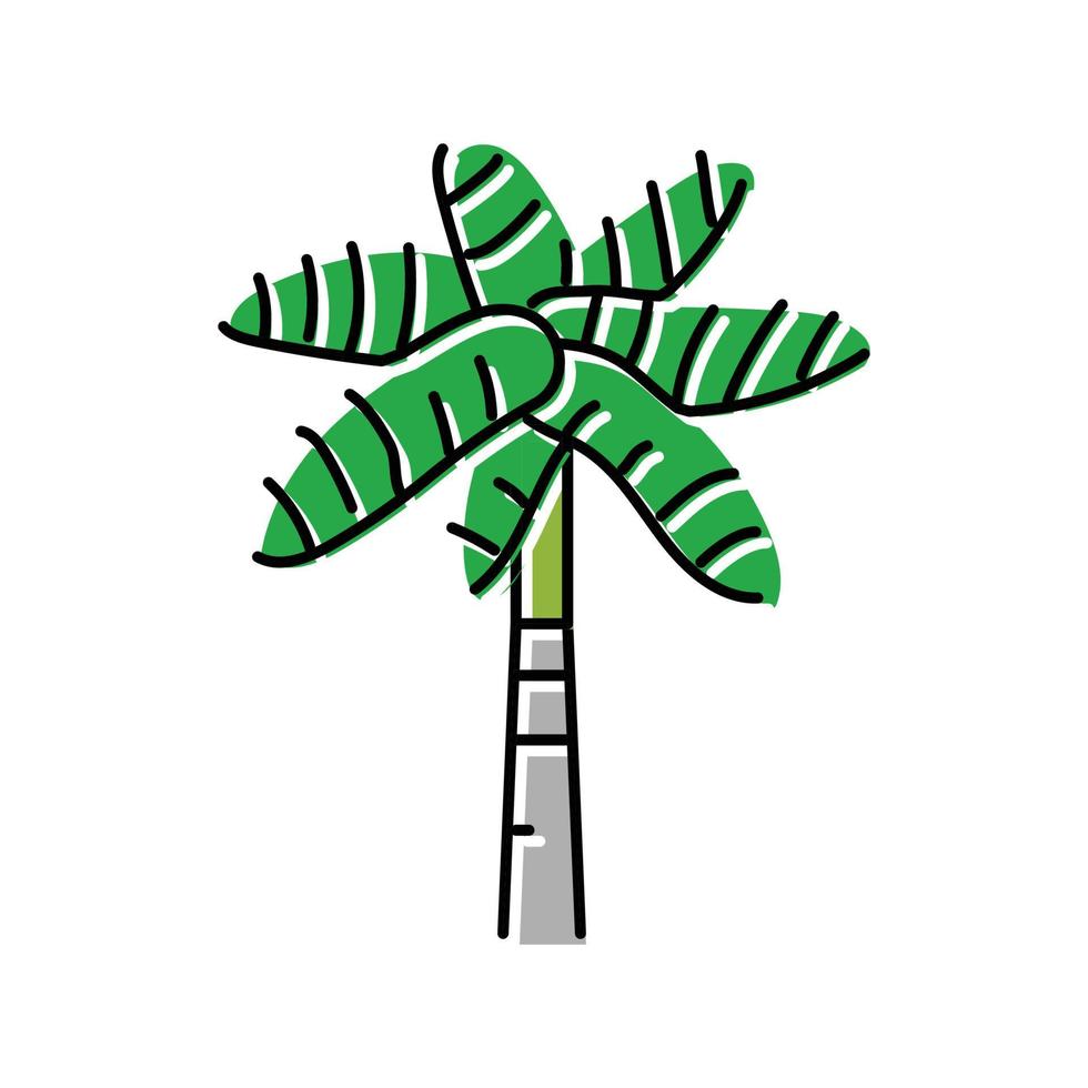 Koninklijk palm boom kleur icoon vector illustratie