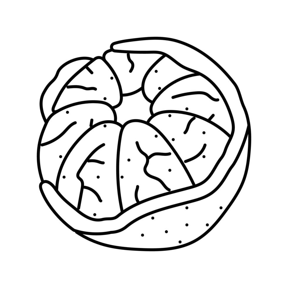 geschild mandarijn- lijn icoon vector illustratie
