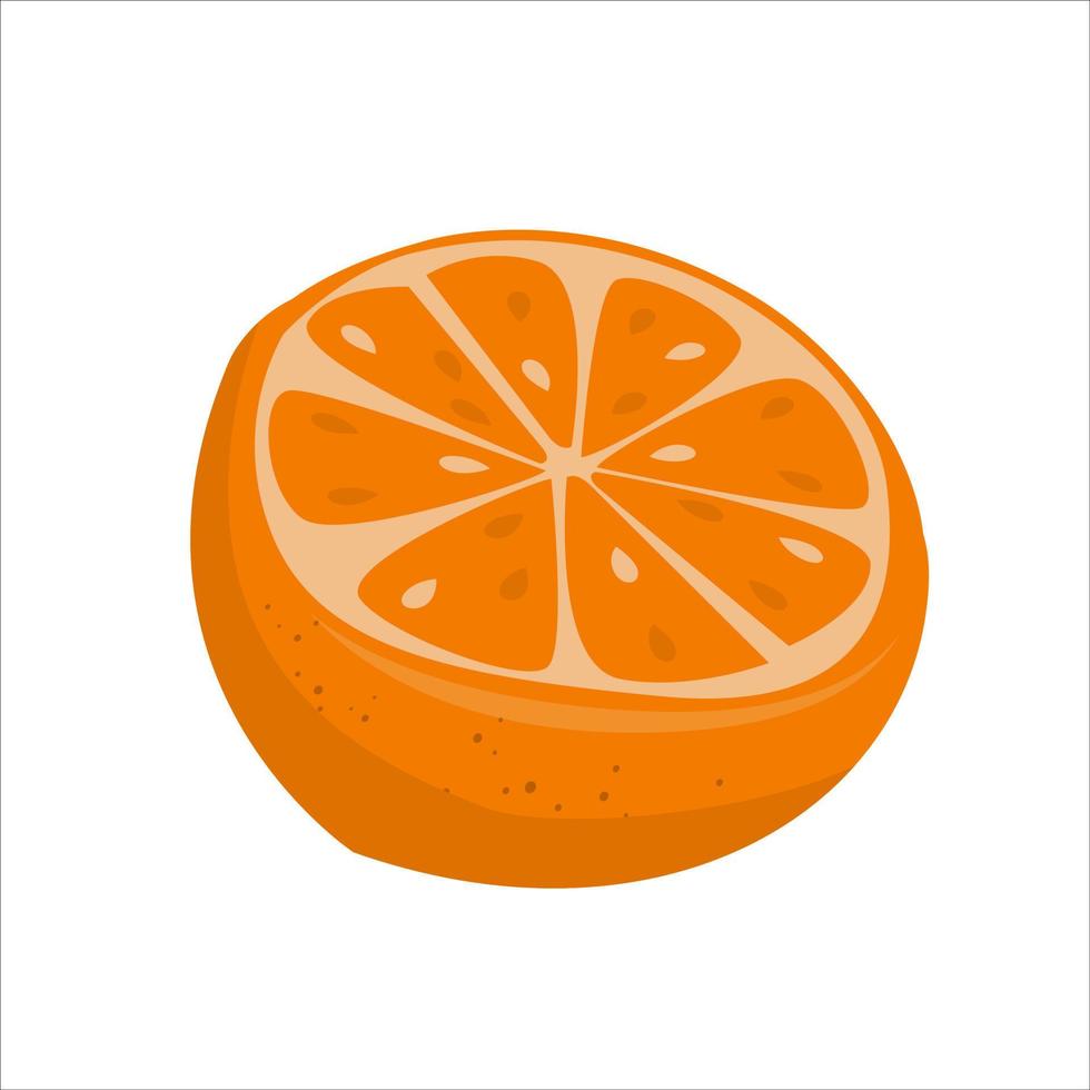 voor de helft van oranje. heerlijk citrus fruit vector