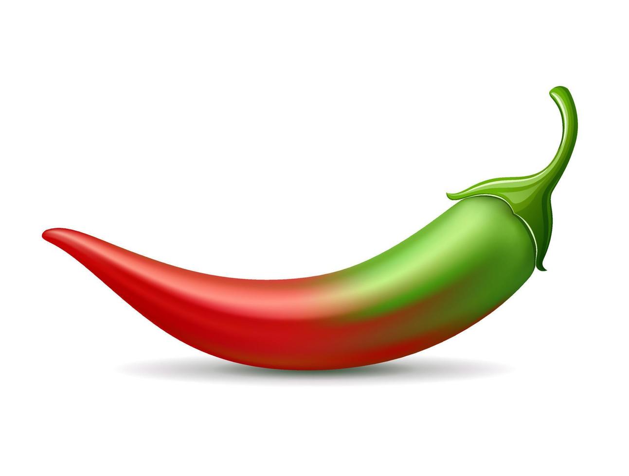 Chili paprika's groen helling rood kleur zacht ontwerp Aan wit achtergrond, eps 10 vector illustratie