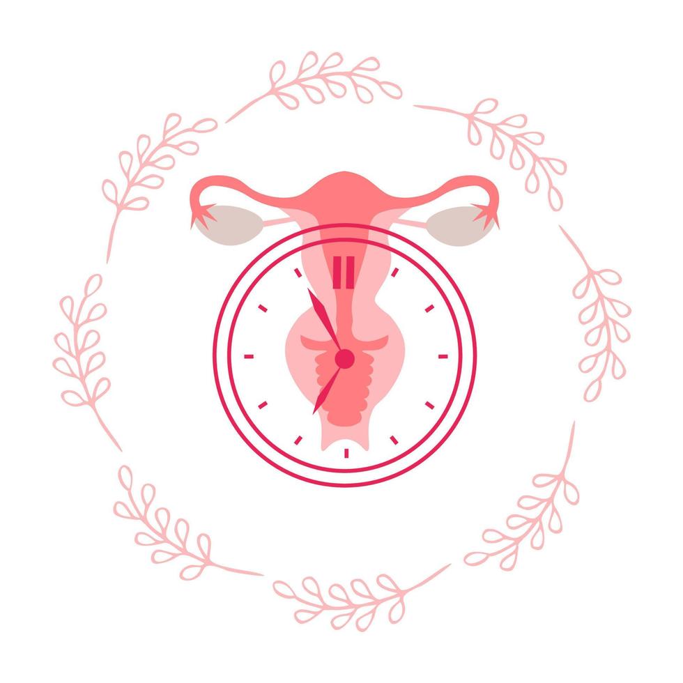 menopauze, vrouwen Gezondheid zorg. wereld menopauze dag. de concept van geneesmiddel, gynaecologie. vrouw voortplantings- systeem met een klok. vector illustratie.