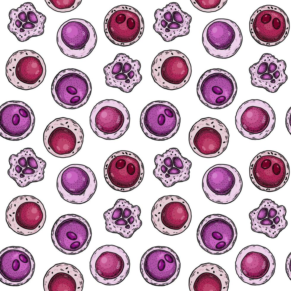 stam cel naadloos patroon. hand- getrokken vector illustratie in schetsen stijl. medisch wetenschap. microbiologie achtergrond