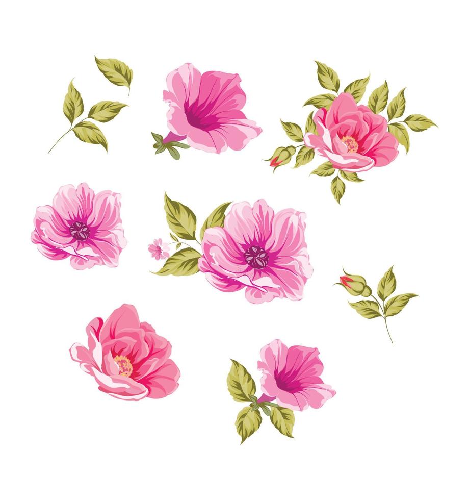 hand- getrokken roos bloemen vector