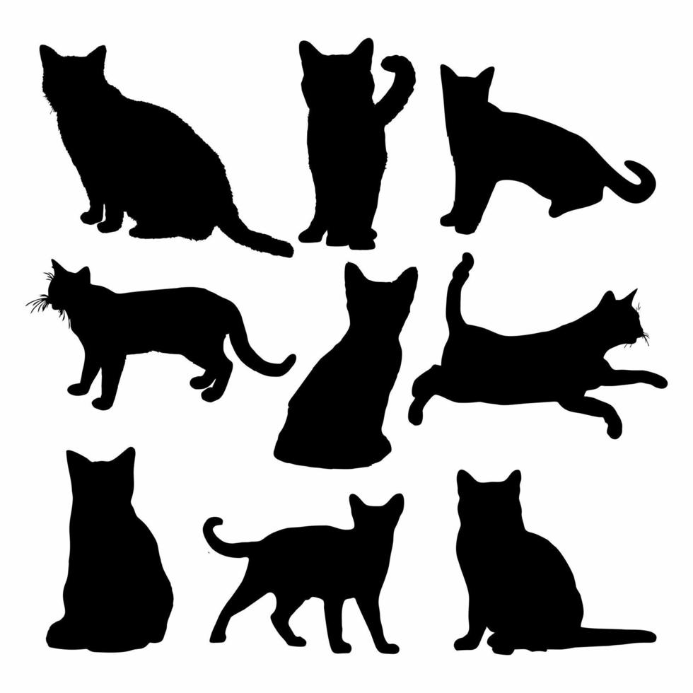 silhouet van huis kat icoon set. zwart en wit bundel vector