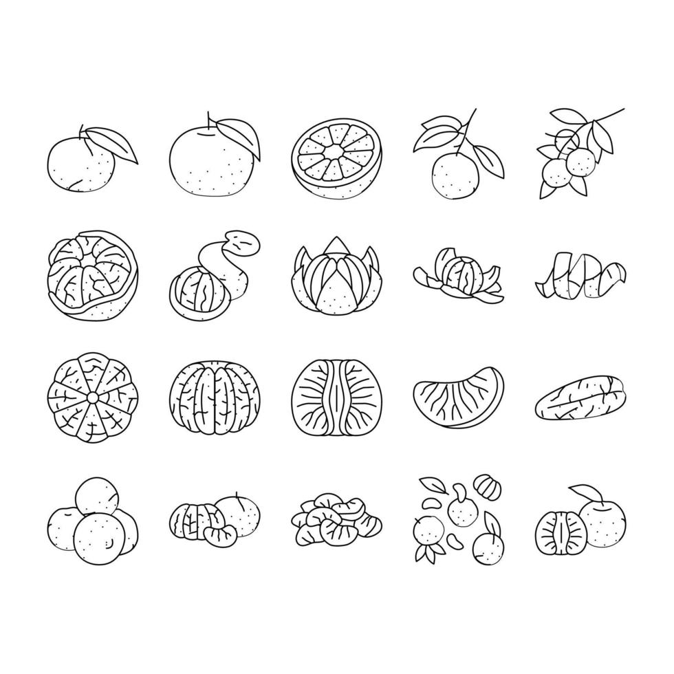 mandarijn- clementine oranje fruit pictogrammen reeks vector