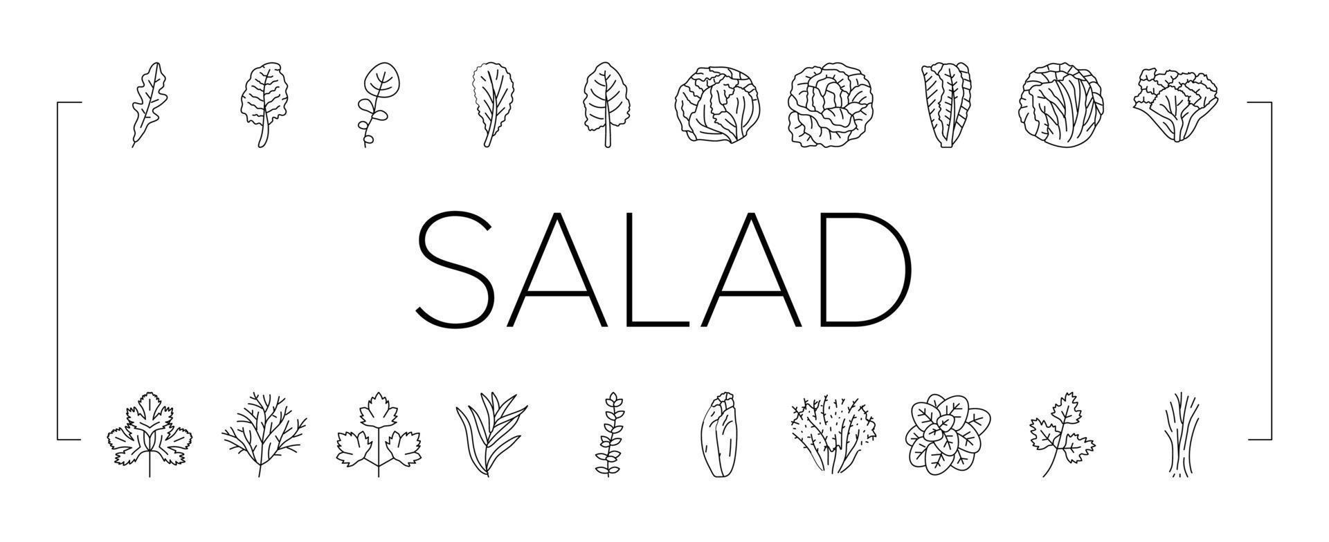 salade voedsel gezond groen vers pictogrammen reeks vector