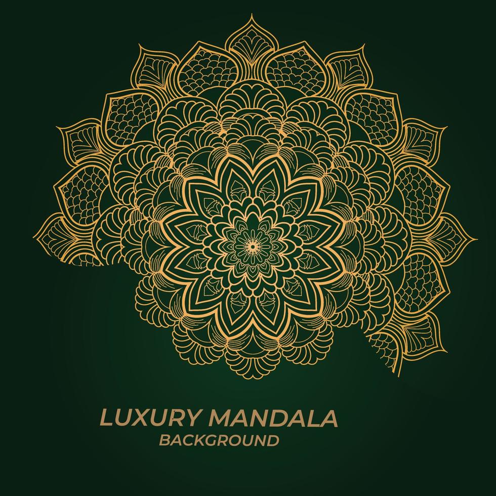 luxe decoratieve mandala ontwerp achtergrond vector