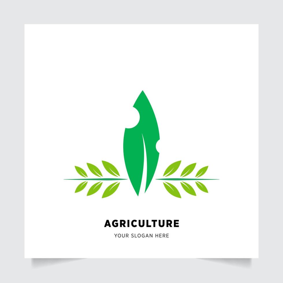 vlak embleem logo ontwerp voor landbouw met de concept van groen bladeren vector. groen natuur logo gebruikt voor agrarisch systemen, boeren, en plantage producten. logo sjabloon. vector