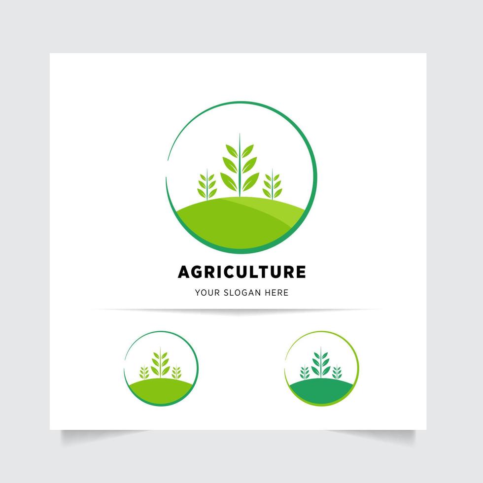 vlak embleem logo ontwerp voor landbouw met de concept van groen bladeren vector. groen natuur logo gebruikt voor agrarisch systemen, boeren, en plantage producten. logo sjabloon. vector