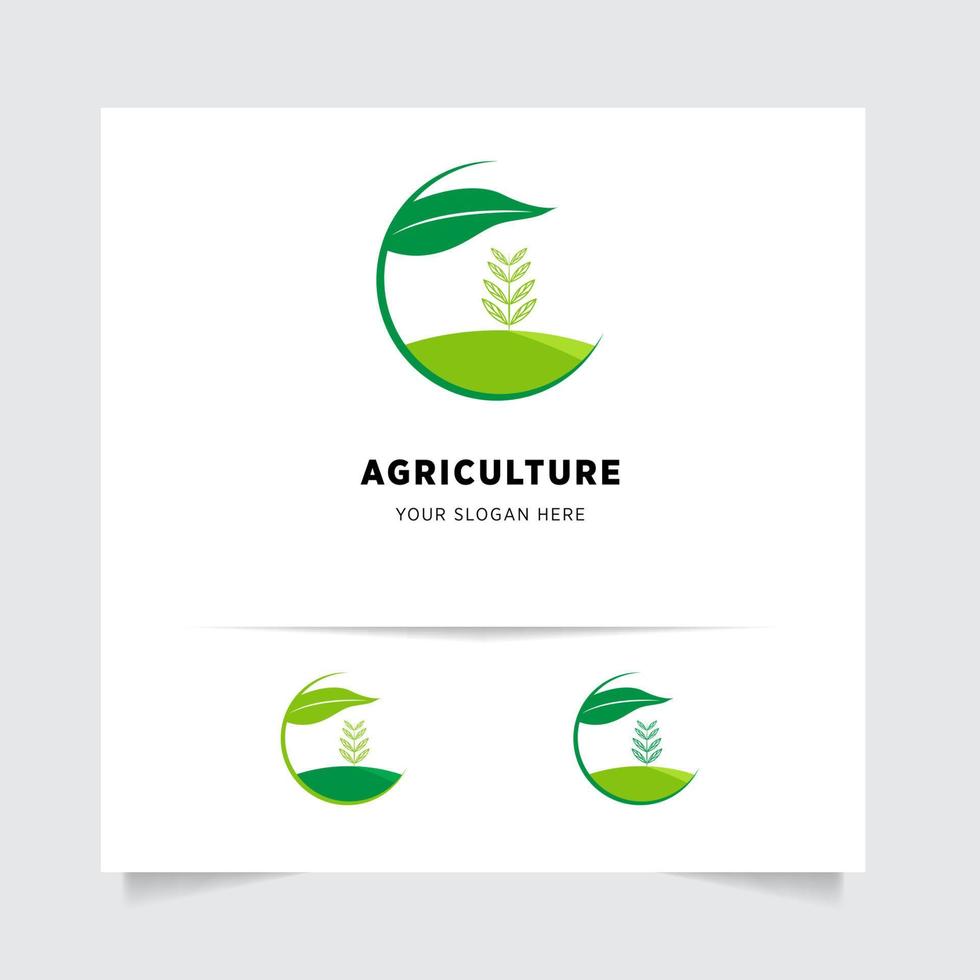 vlak embleem logo ontwerp voor landbouw met de concept van groen bladeren vector. groen natuur logo gebruikt voor agrarisch systemen, boeren, en plantage producten. logo sjabloon. vector