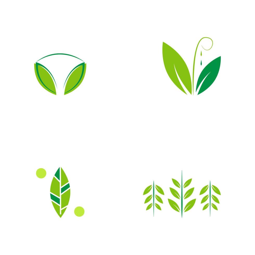 vlak embleem logo ontwerp voor landbouw met de concept van groen bladeren vector. groen natuur logo gebruikt voor agrarisch systemen, boeren, en plantage producten. logo sjabloon. vector