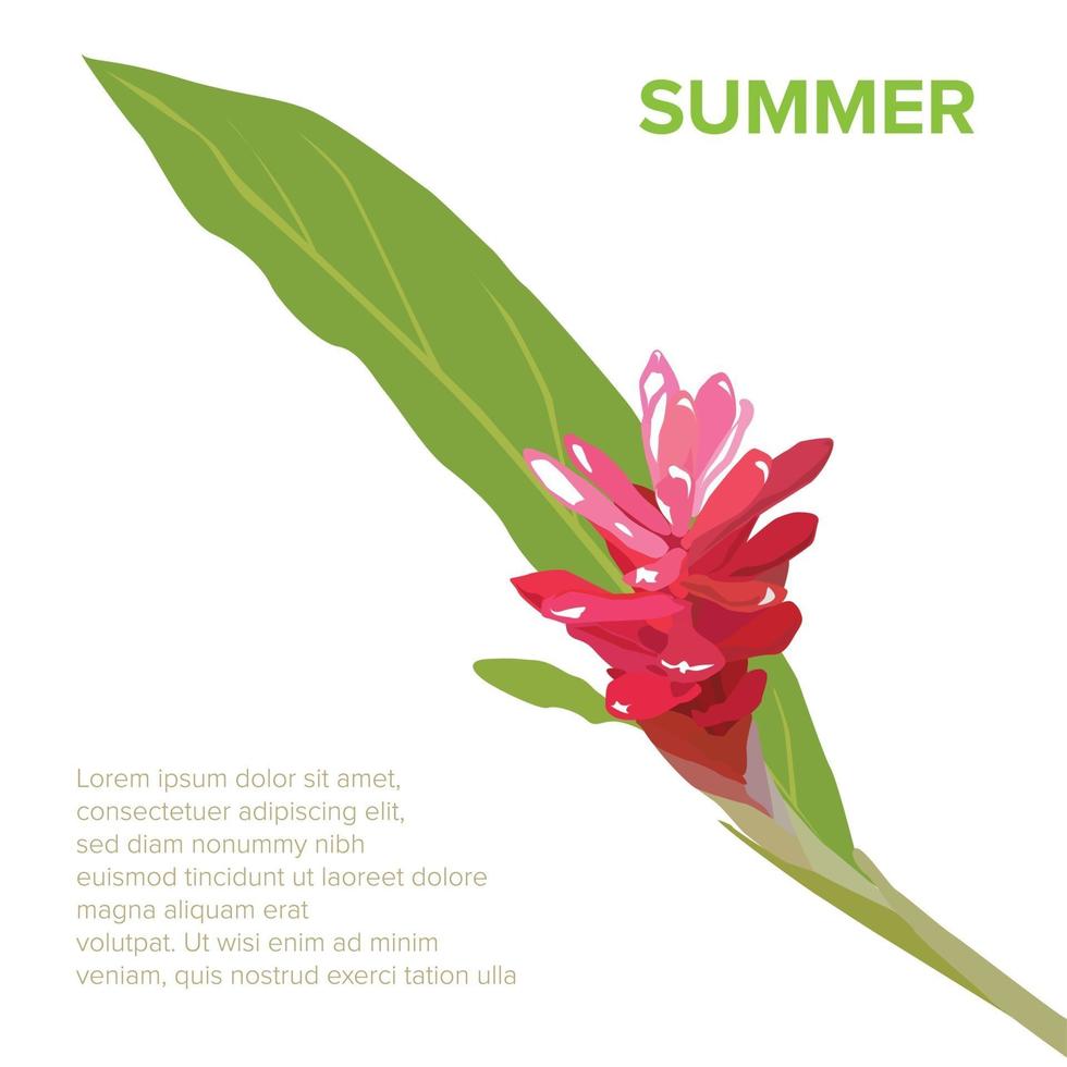 bloem van de zomer achtergrond op grafische vector illustratie