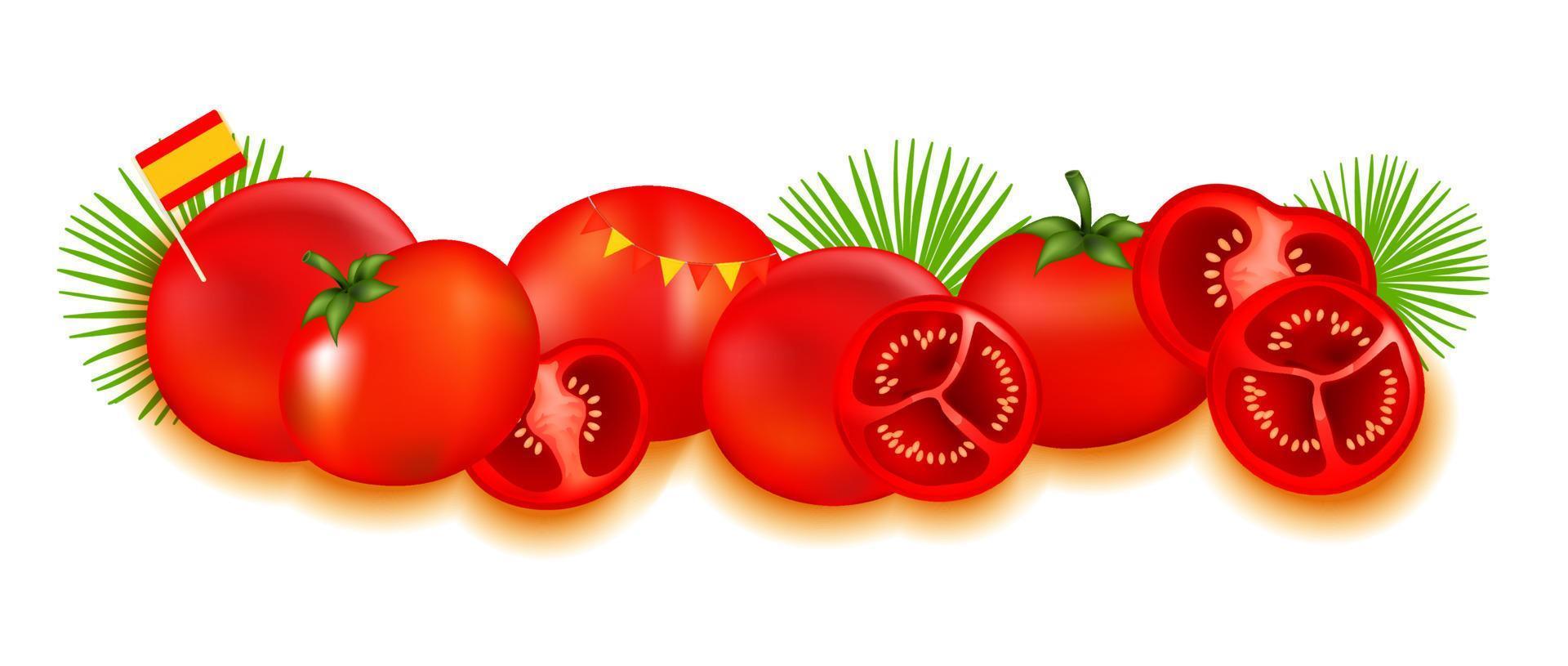 la tomaat festival spandoek. la tomaat in Spanje. tomaat gevecht. tomaat strijd vector
