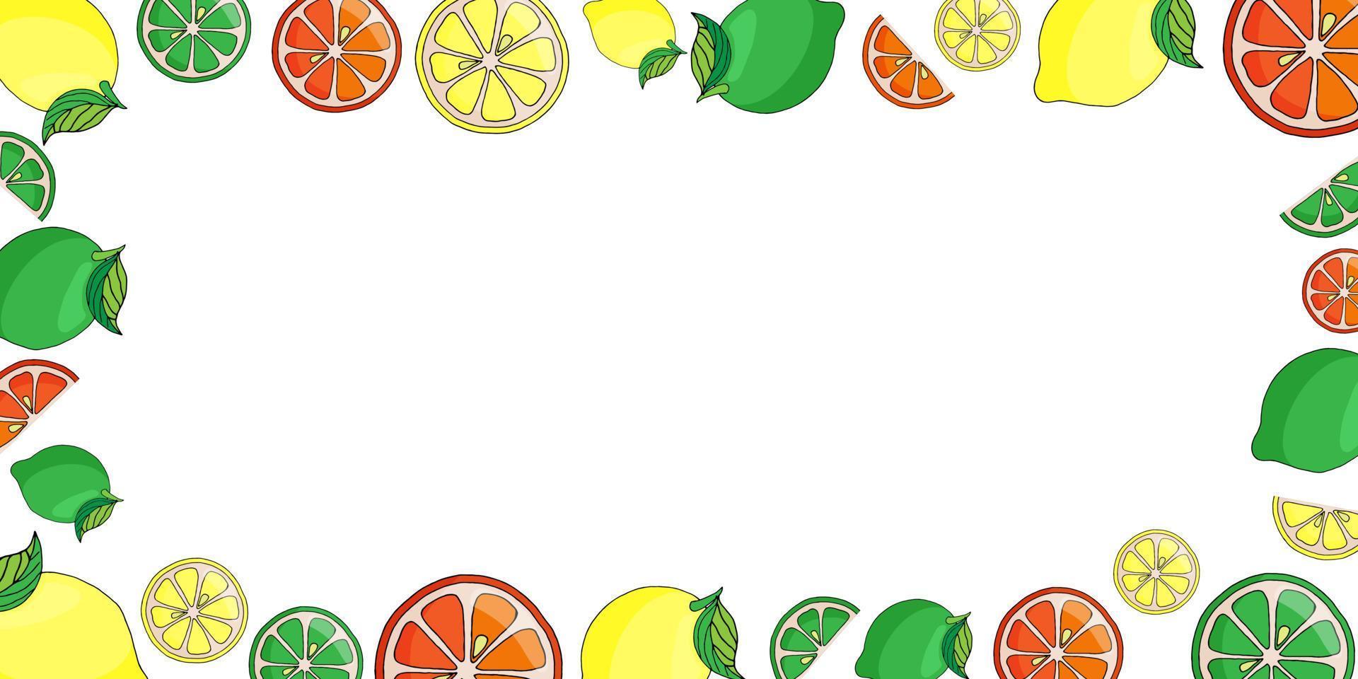 vector illustratie wit achtergrond kader van citrusvruchten