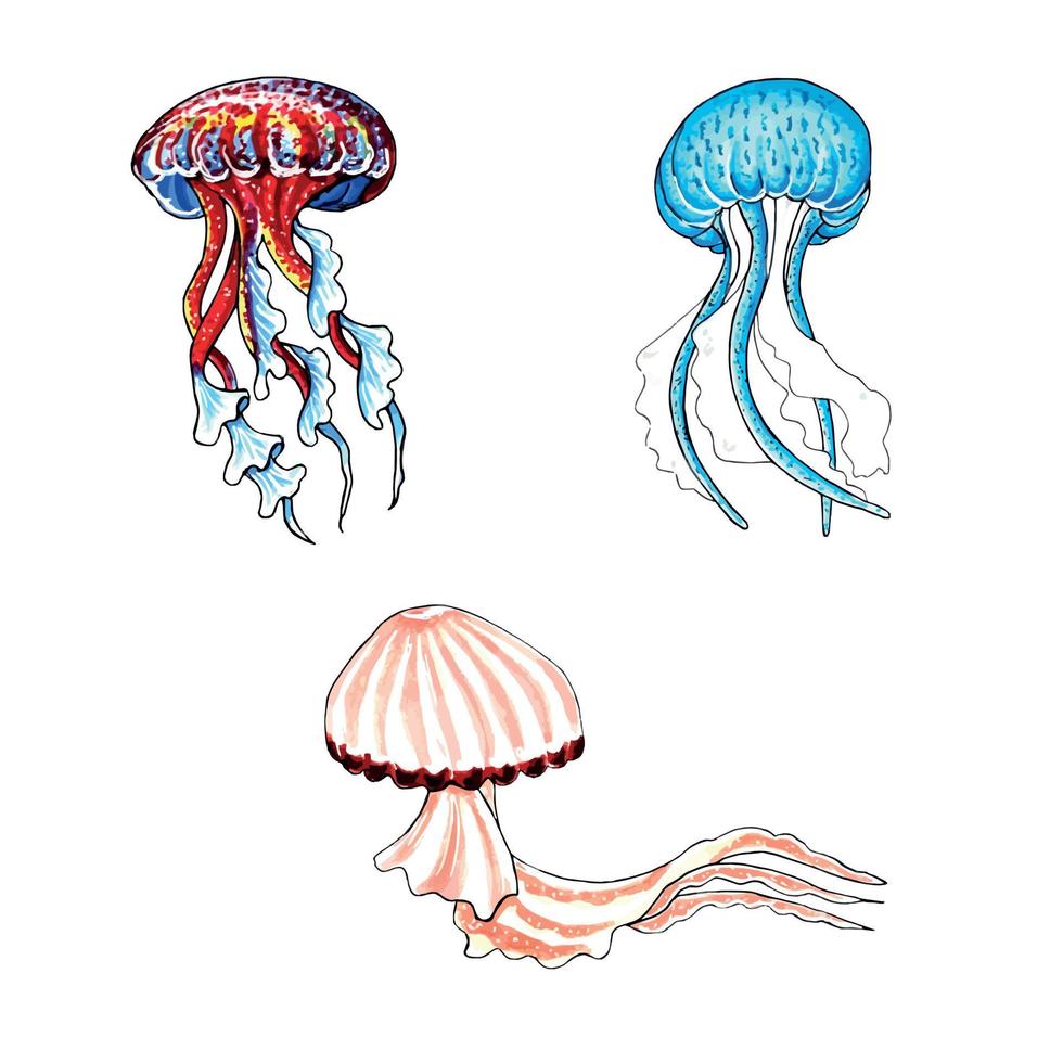 reeks van bruin, blauw, rood en aqua kleur kwallen. vector eps illustratie marinier dieren.