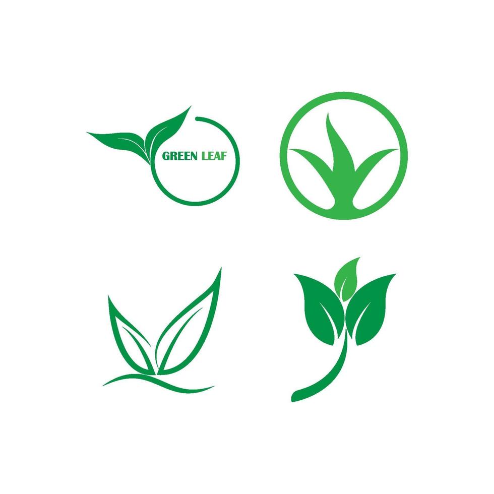 groen blad logo set vector