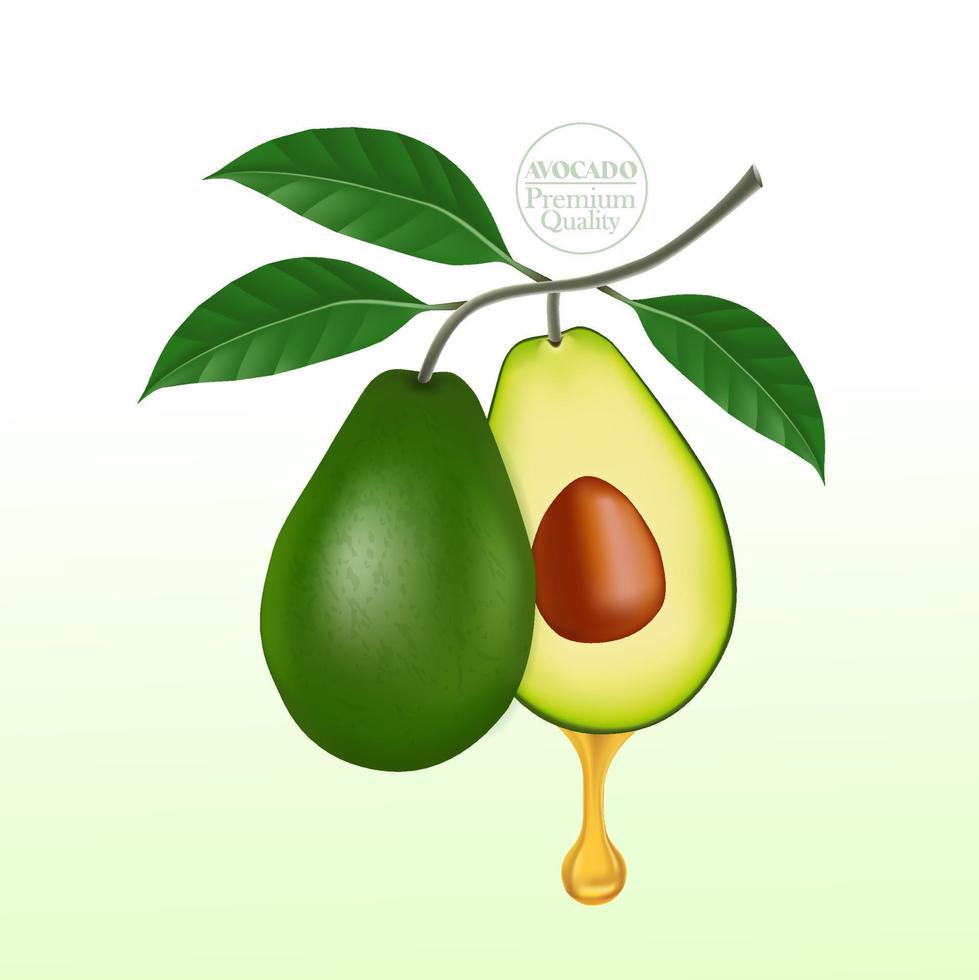 vers avocado voor mooi zo Gezondheid vector illustratie