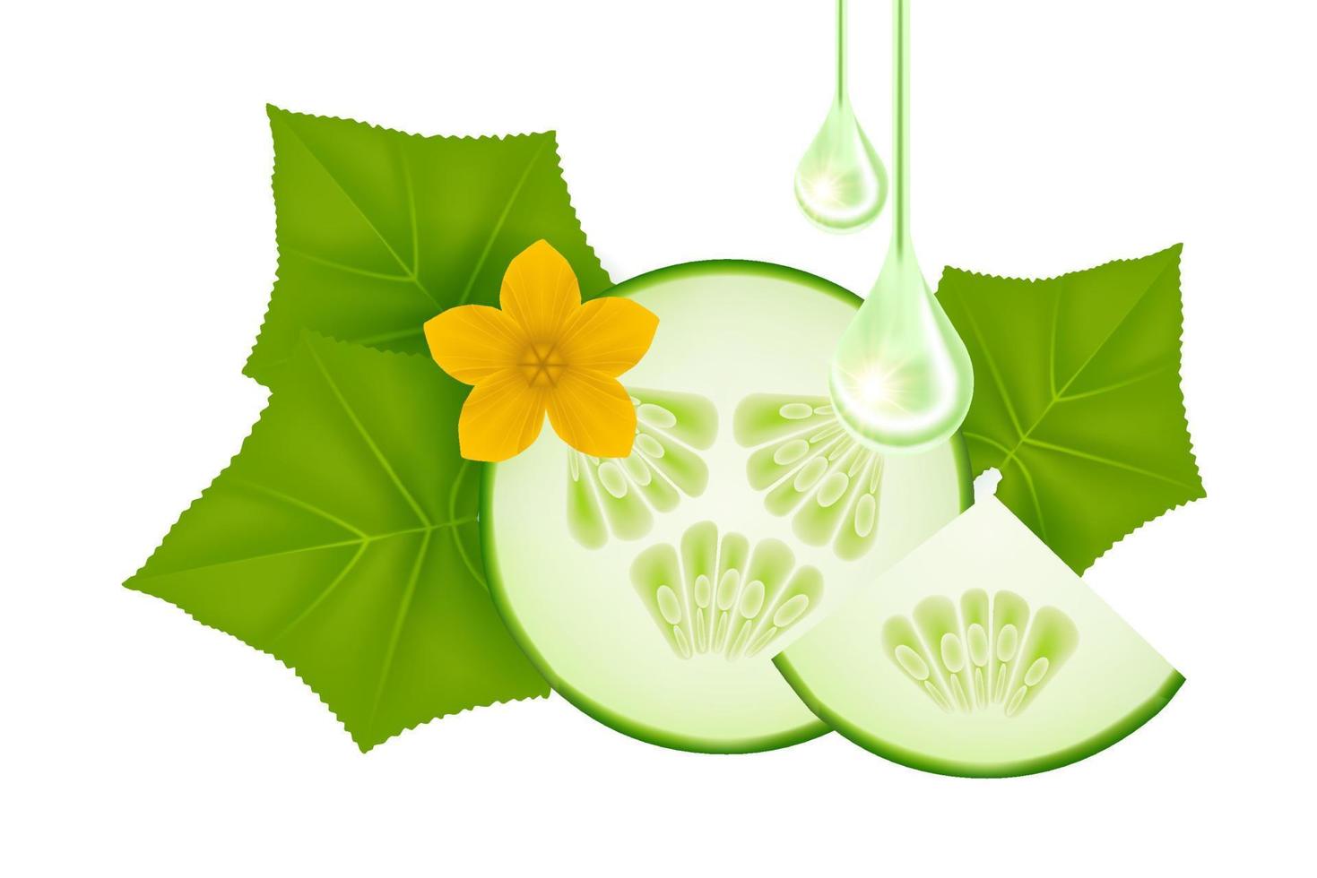 komkommer serum voor huid zorg Product vector illustratie