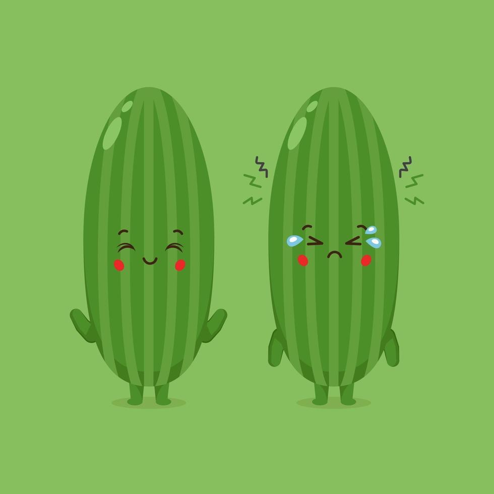 schattige komkommerkarakters glimlachend en verdrietig vector