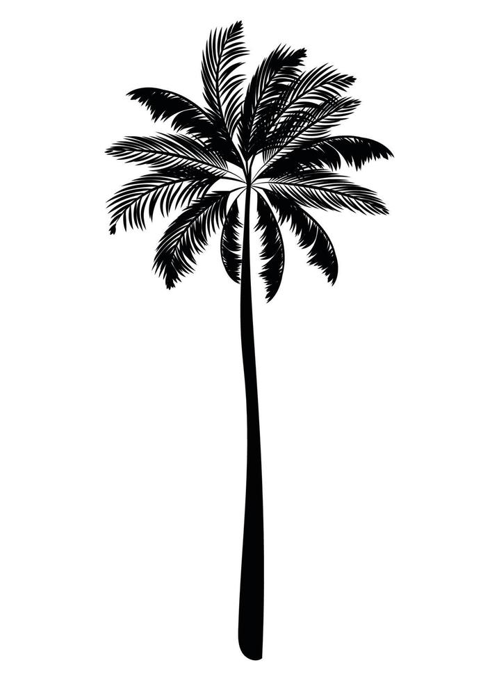 schattig palm silhouet vector