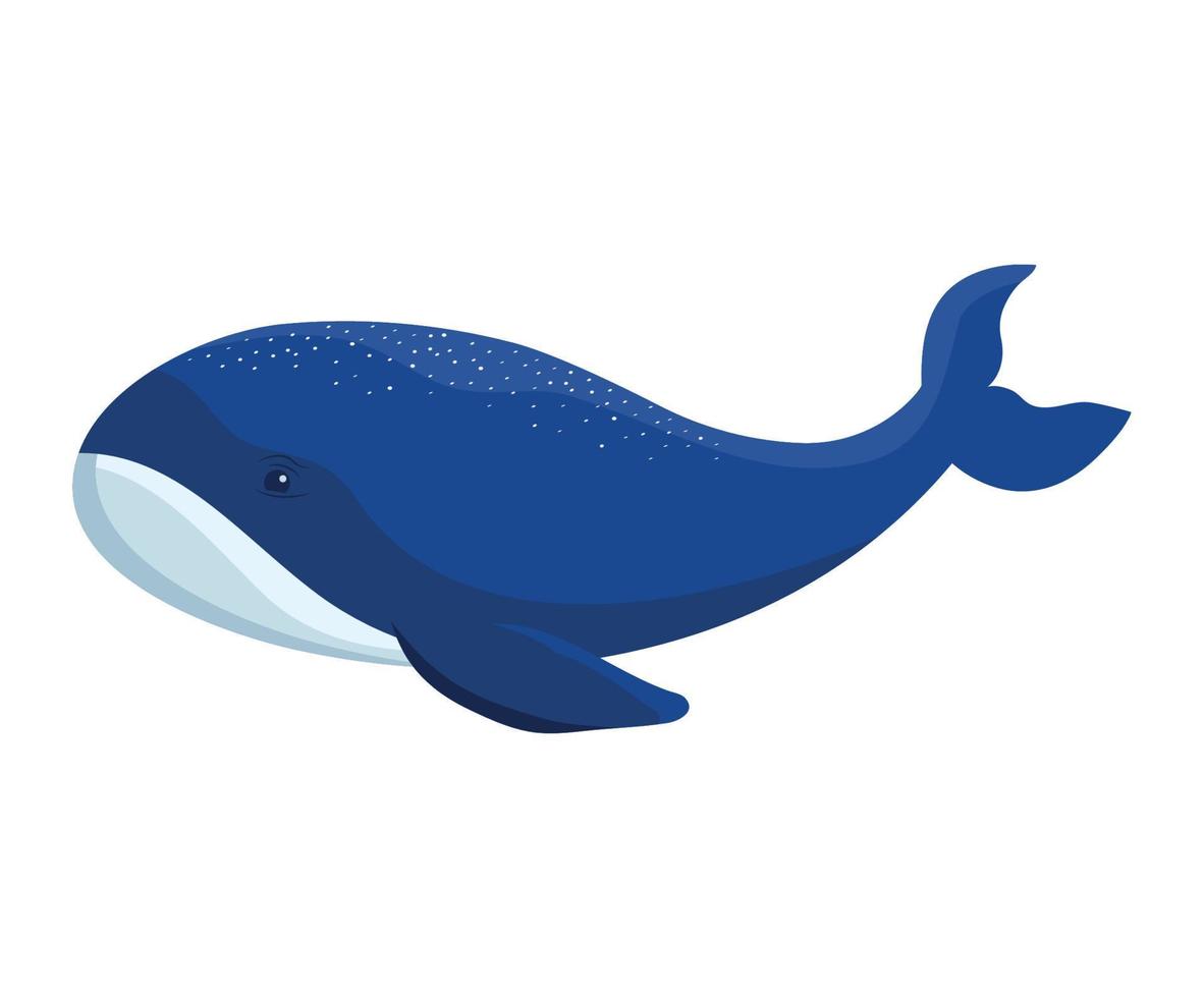 gekleurde blauw walvis vector