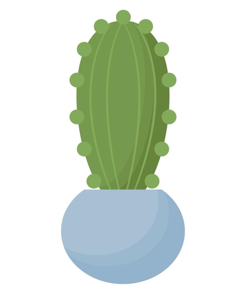 kleurrijk ingemaakt cactus vector