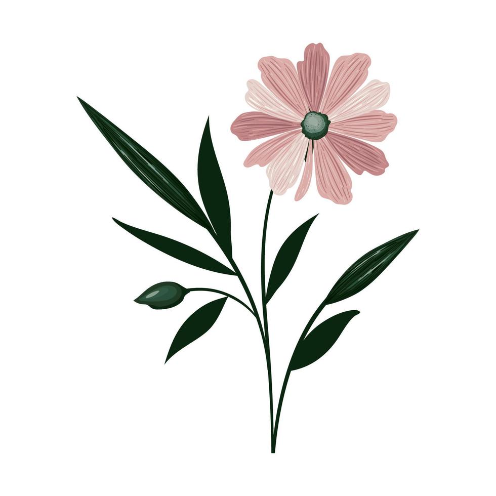 roze bloem ontwerp vector