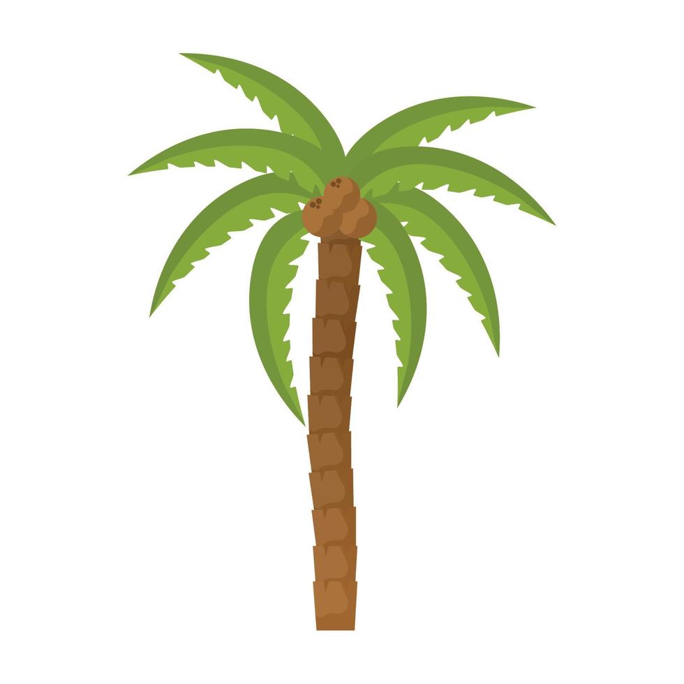 kokosnoot palm ontwerp vector
