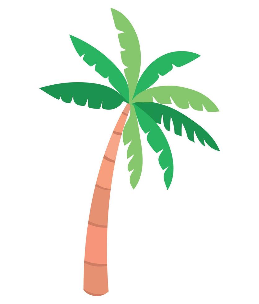 strand palm illustratie vector