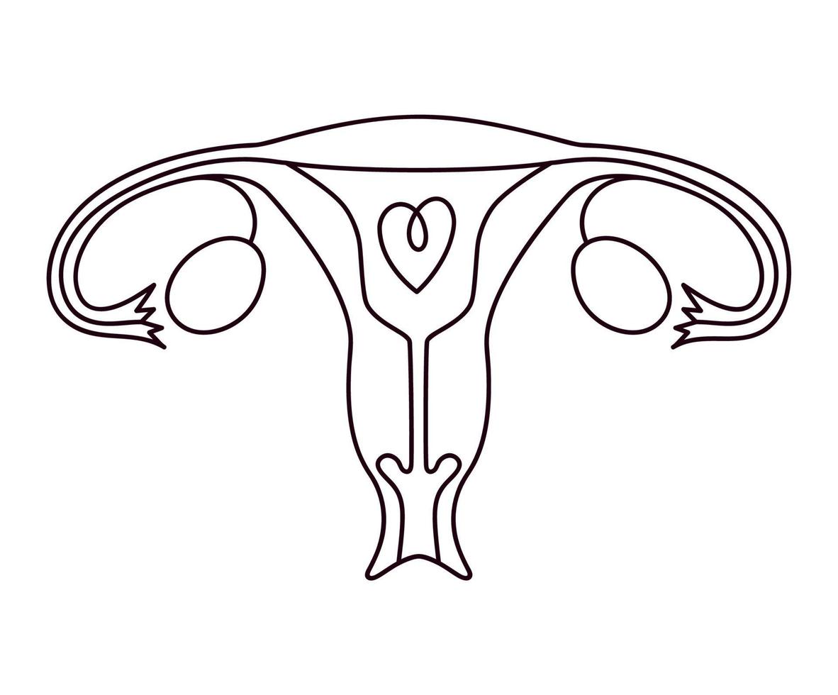 roze baarmoeder icoon vector