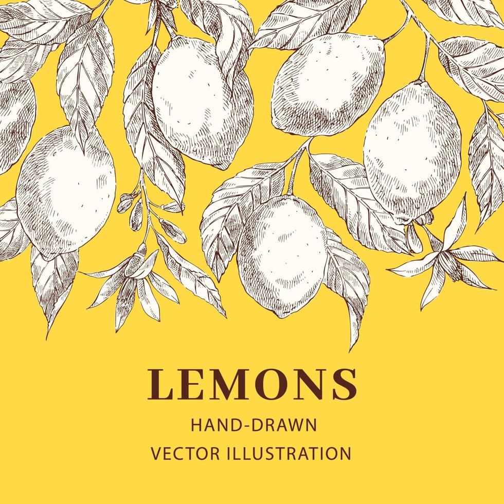 citroenen hand getrokken schets vector poster sjabloon