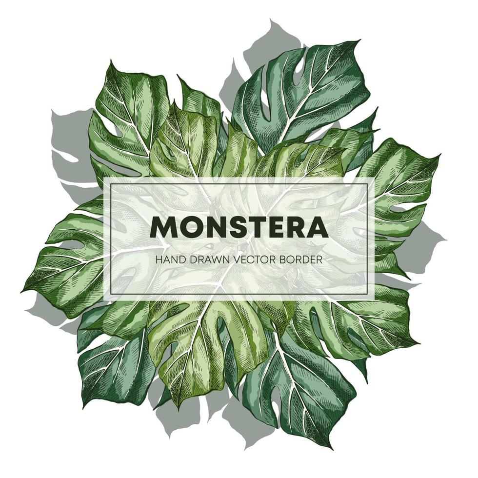 monstera ontwerp hand getrokken poster sjabloon vector