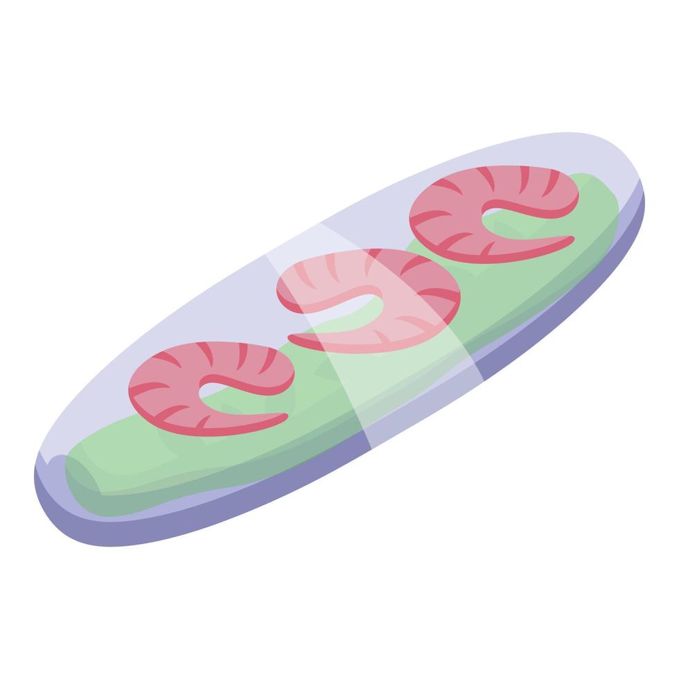 garnaal voedsel icoon isometrische vector. maaltijd avondeten vector