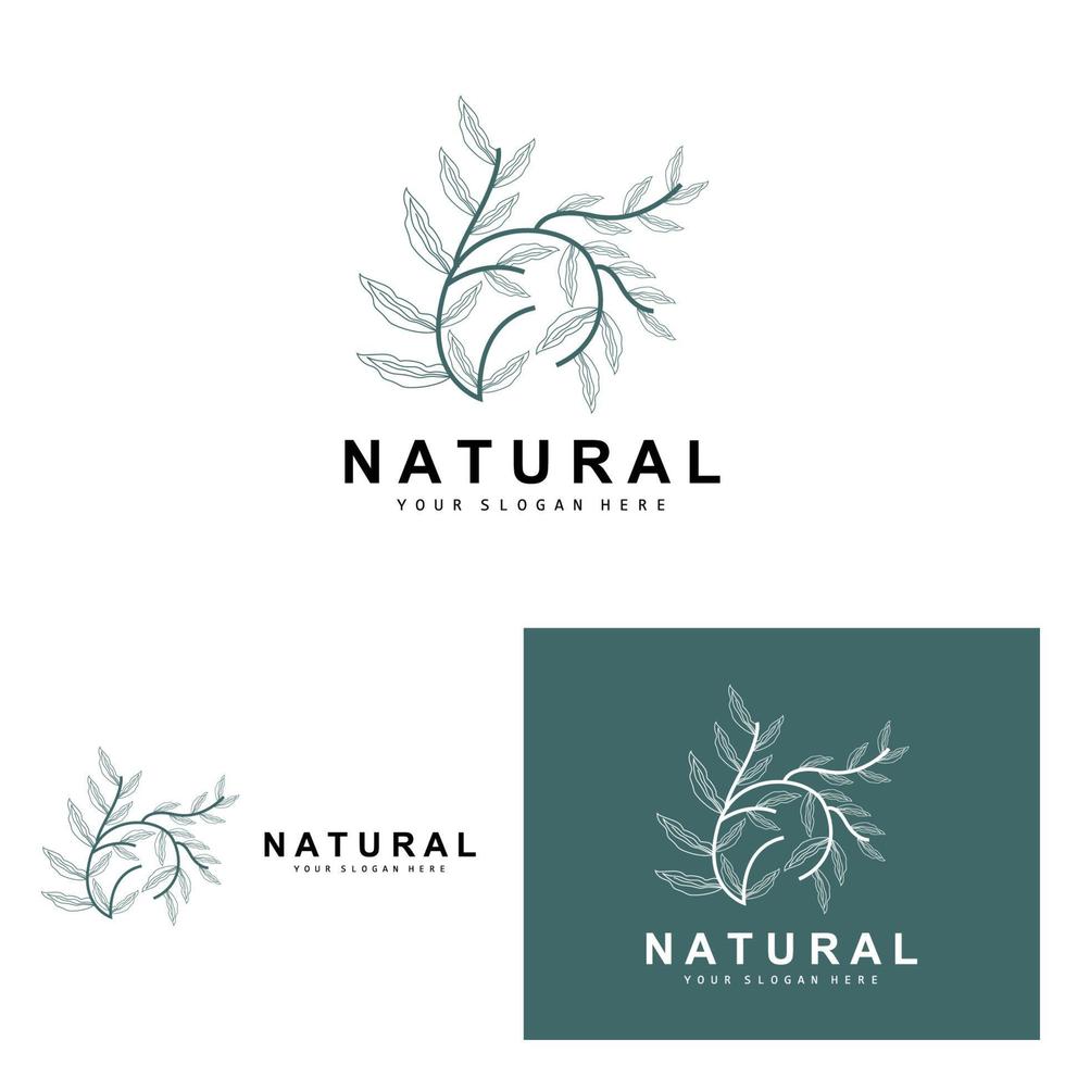 gemakkelijk botanisch blad en bloem logo, vector natuurlijk lijn stijl, decoratie ontwerp, banier, folder, bruiloft uitnodiging, en Product branding