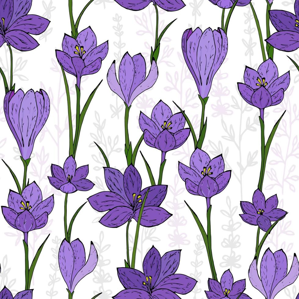 naadloze Lentebloemen. kleurrijke krokussen naadloos. vector