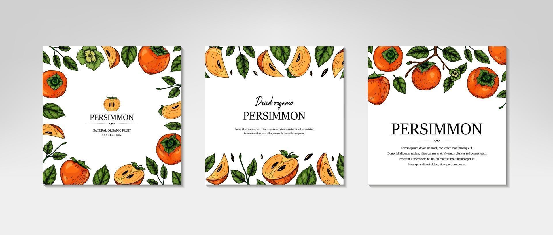 set hand getrokken kleurrijke persimmon ontwerp. vectorillustratie in gekleurde schetsstijl. vector