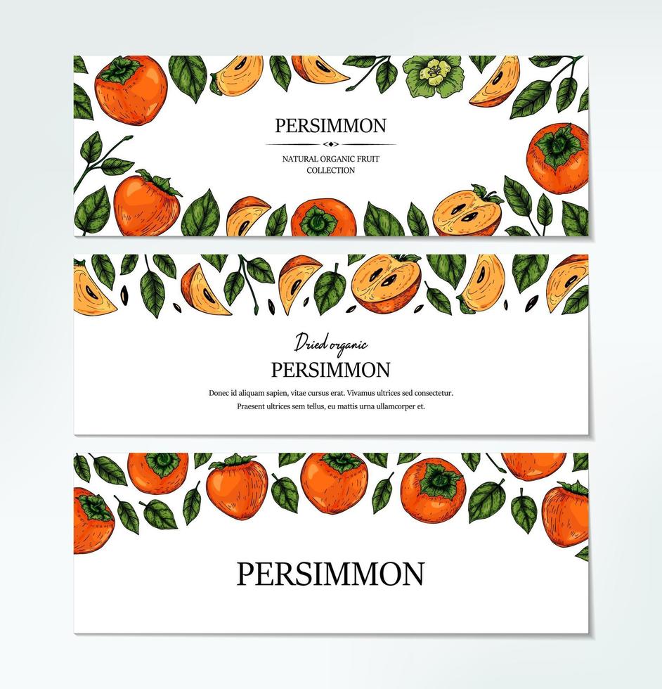 set hand getrokken kleurrijke persimmon horizontaal ontwerp. vectorillustratie in gekleurde schetsstijl. vector