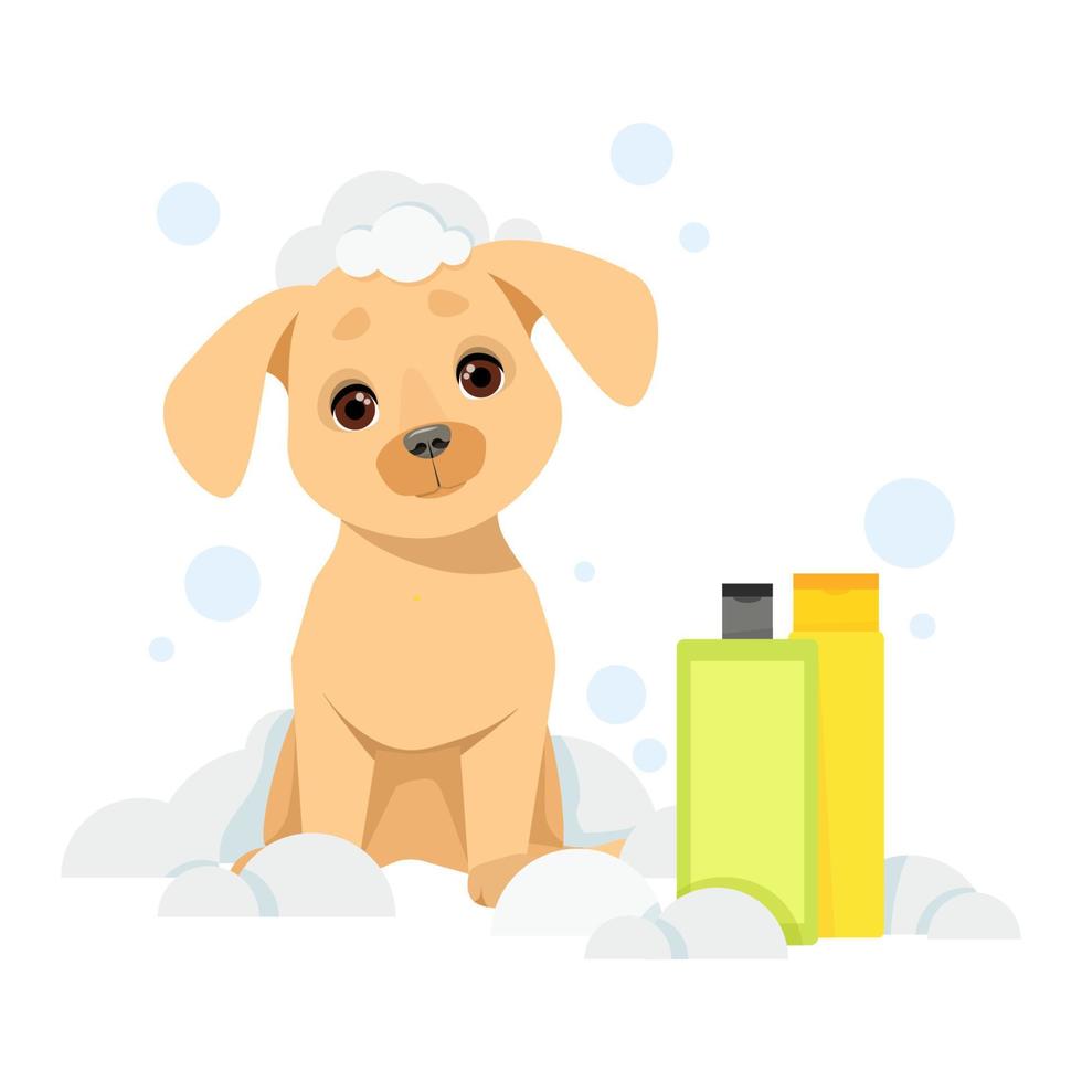 de hond zit in een zeepachtig zeepsop en potten van shampoo De volgende vector