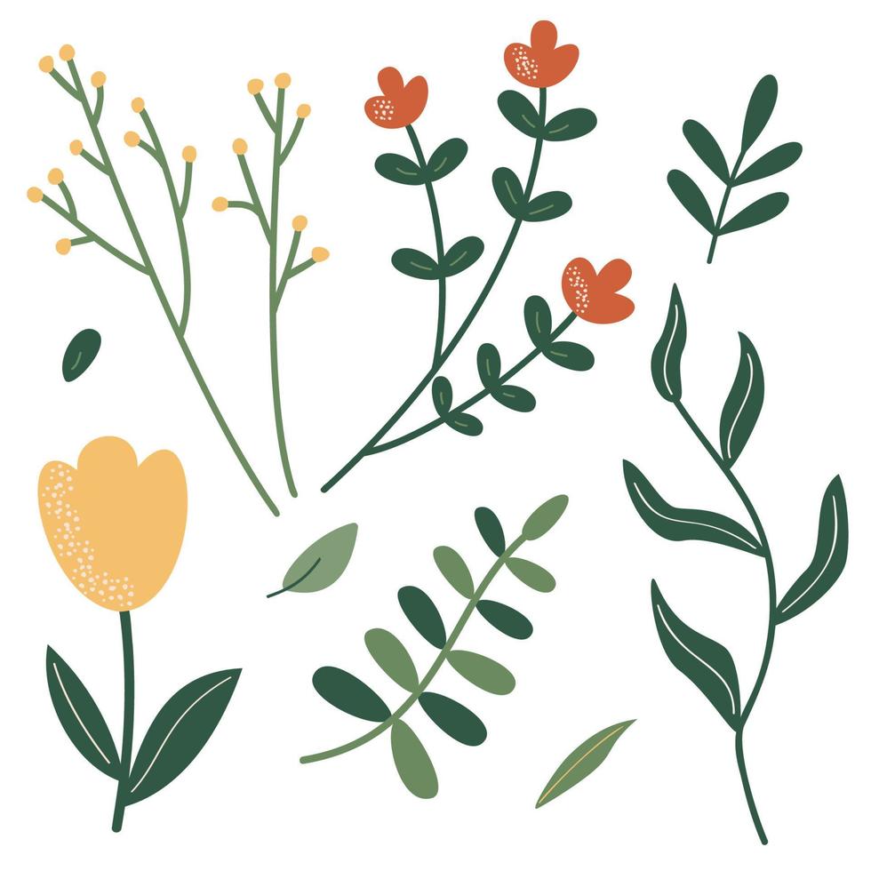 een reeks van twijgen en bloemen voor decoratie. vector