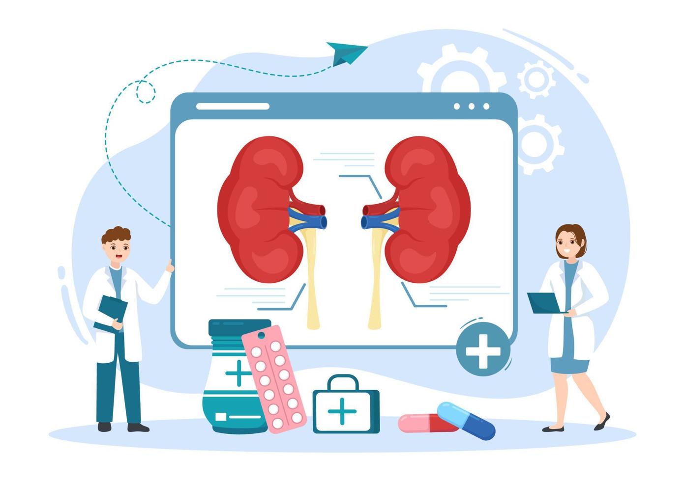 nefroloog illustratie met cardioloog, proctoloog en traktatie nieren orgaan in vlak tekenfilm hand- getrokken voor web banier of landen bladzijde Sjablonen vector