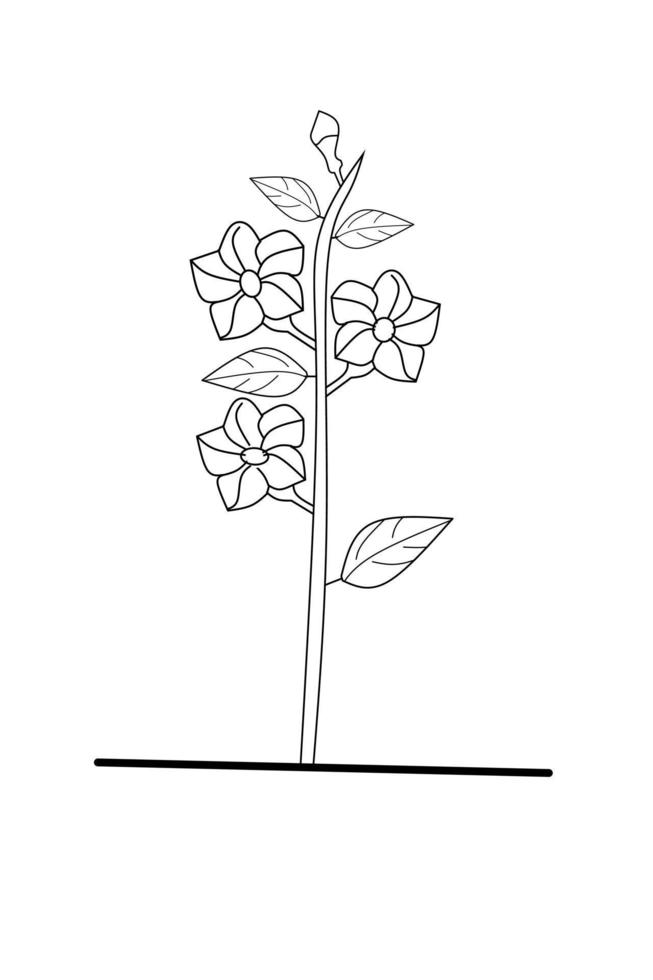 allamanda bloem schets Aan wit achtergrond. vector illustratie.